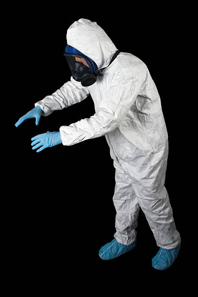 Professional Mold Removal in Gold Beach, OR