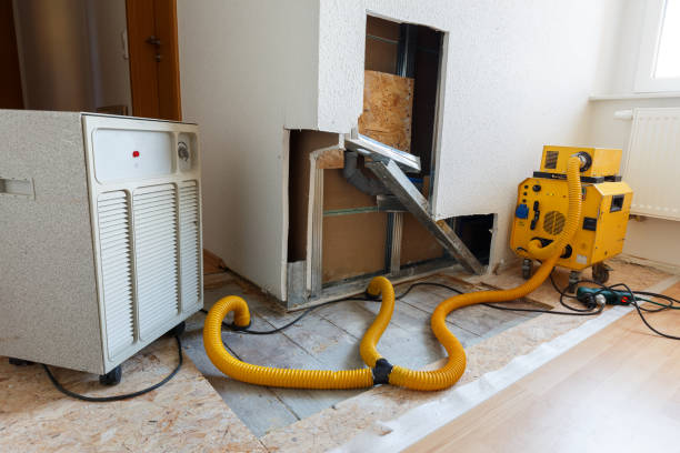 Best Post-Remediation Verification Testing  in Gold Beach, OR